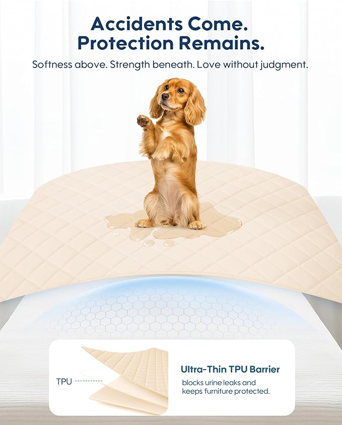 KASBAH Dog Cooling Blanket & Mat, Waterproof Pet Blankets for Couch, Bed and Car Seat, Washable Reversible Dog Blanket Throw (Cool & Warm), Q-MAX >0.5, 40 x 56 Inch