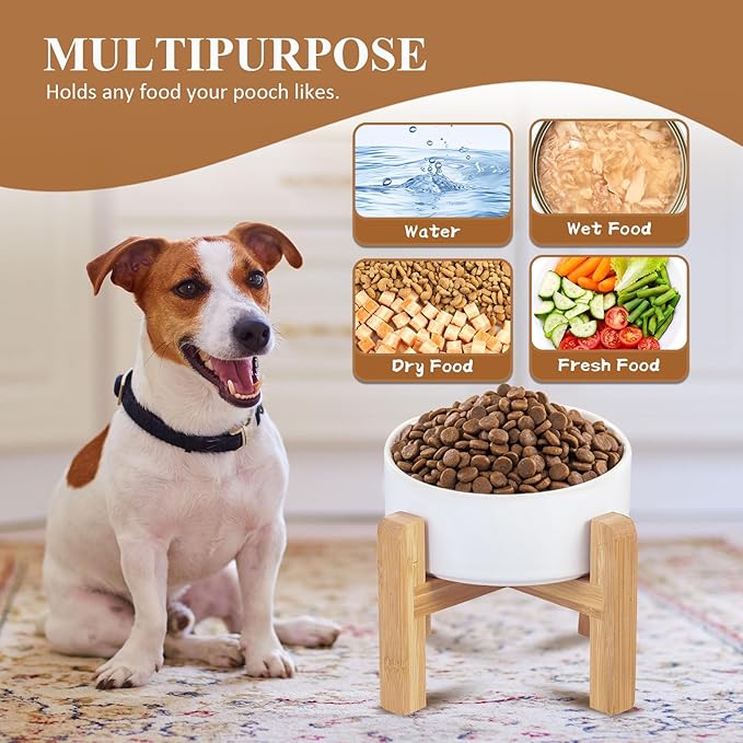 Yellow Ceramic Elevated Raised Cat Bowl with Wood Stand No Spill Pet Food Water Feeder Cats Small Dogs