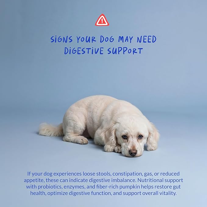 Probiotics for Dogs - 120 Chewable Tablets - Diarrhea & Gas Support - with Honey Pumpkin and Prebiotics for Dog Allergies, Bad Breath & Constipation Support