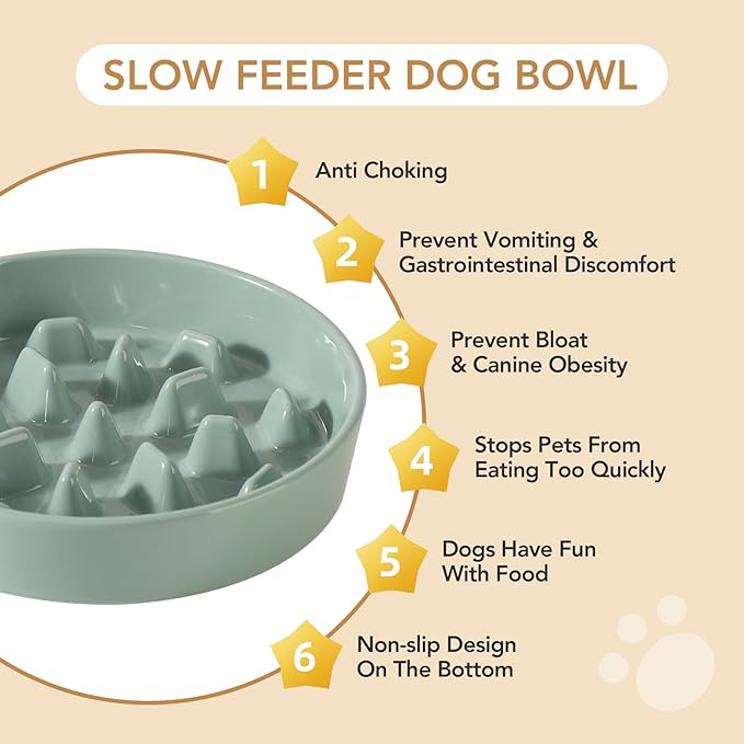 Ceramic 3.2 Cup Dog Raised Slow Feeder Set, Elevated Bowl with Wooden Stand for Large Dog, 9.5inch Slow Feeder Dish for Fast Easters, Anti-Gulping(Light Green, Single Bowl+ Stand)