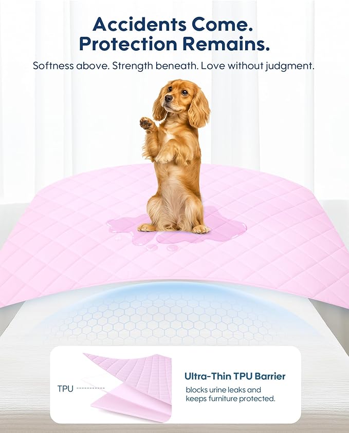 KASBAH Dog Cooling Blanket & Mat, Waterproof Pet Blankets for Couch, Bed and Car Seat, Washable Reversible Dog Blanket Throw (Cool & Warm), Q-MAX >0.5, 28 x 40 Inch