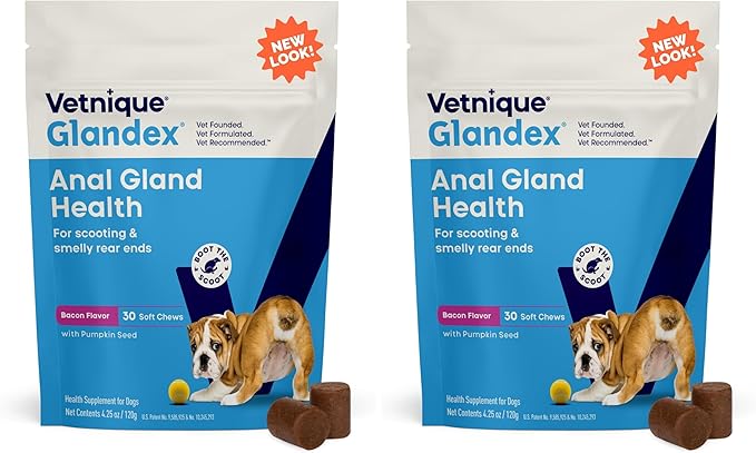 Vetnique Glandex Anal Gland Soft Chew Treats with Pumpkin for Dogs Digestive Enzymes, Probiotics Fiber Supplement for Dogs Boot The Scoot (Bacon Flavor Chews, 30 Count) (Pack of 2)