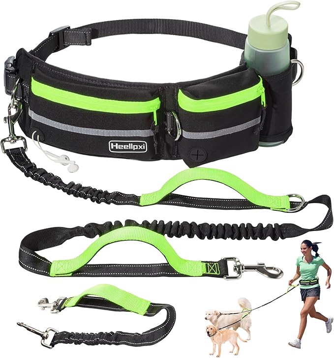Hands-Free Waist Leash with Pouch for Two Dogs: Reflective Stitching, Dual Handle & Bungee Retractable Design – Ideal for Medium to Large Dogs (Green) – Dog Walking Accessories