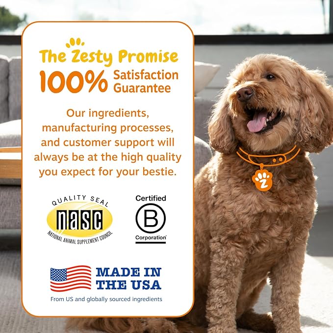 Zesty Paws Probiotics for Dogs, Digestive Enzymes Gut Flora, Digestive Health, Diarrhea & Bowel Support, DE111, Dog Probiotic Soft Chew for Pet Immune System, Pumpkin, 250 Ct (Pack of 2)