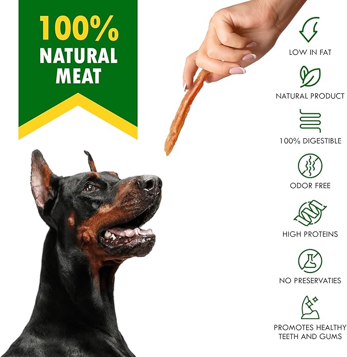 Dog Treats Chicken Jerky Strips 10.6 oz - Human Grade Meat Sticks - Natural Pet Dried Snacks Rawhide - Free - Long Lasting Chews for Large & Small Dogs - Best for Training & Healthy Teeth