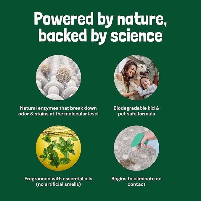 Sunny & Honey Pet Stain & Odor Miracle - Fast Acting Carpet Cleaner - Enzyme Spray for Carpets, Mattresses & Upholstery - Rug Shampoo - Dog Pee Cleaner & Surface Odor Remover (32 fl oz, Spring Mint)