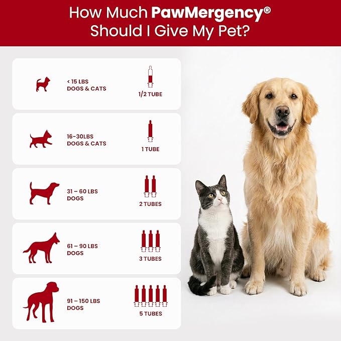 PawMergency – Activated Charcoal First Aid Kit Emergency Rescue 2 Pack for Dogs, Cats, Puppy & Pet Poison Kit, Camping Survival Remedy Essential, Oral Anti Diarrhea Digestive Absorb Toxins (30mL)