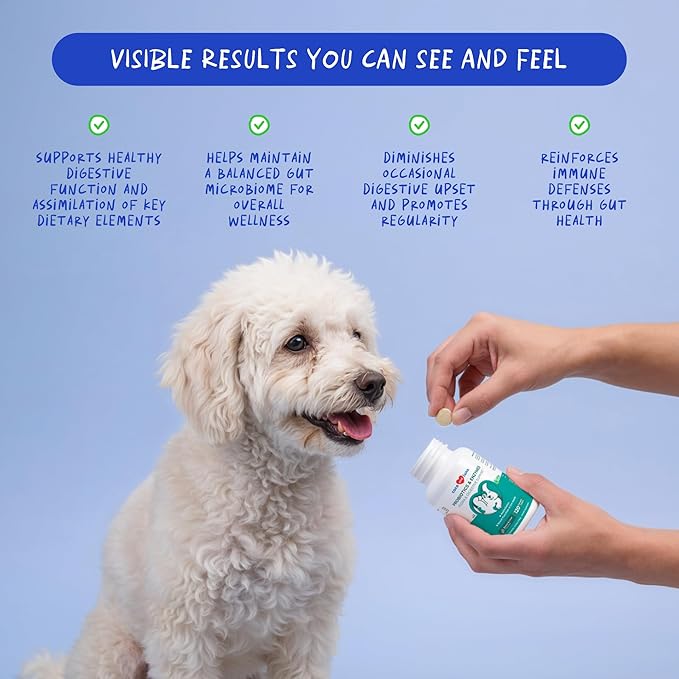 Probiotics for Dogs - 120 Chewable Tablets - Diarrhea & Gas Support - with Honey Pumpkin and Prebiotics for Dog Allergies, Bad Breath & Constipation Support