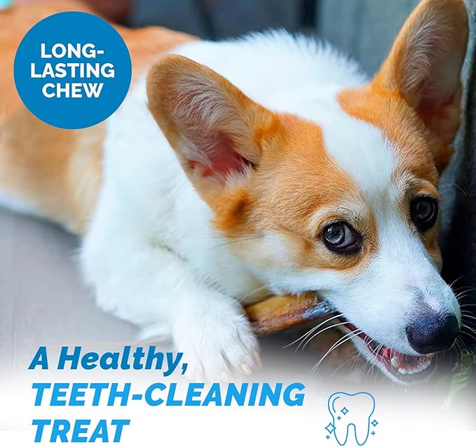 123 Treats Dog Bones for Dogs, 100% Natural Rib Bone Beef Chews from Grass Fed Cattle 7-9" (8 Count) Dog Treats and Breeds, Tasty Long Lasting Chews