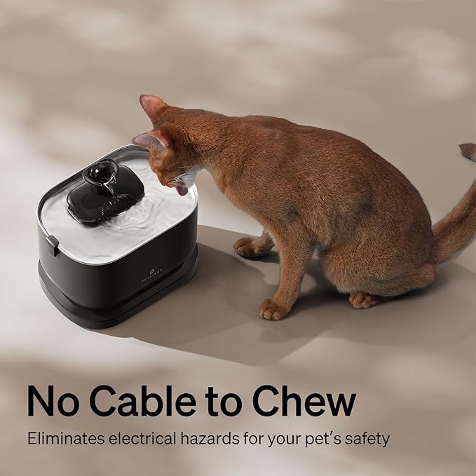 Bundle of PETLIBRO Cat Water Fountain, Cordless Pet Water Fountain Battery Operated+8 Packs Replacement Filters for Dockstream Cat Water Fountain WF005 WF115 WF105, 4 Months Set of Replacement Filters