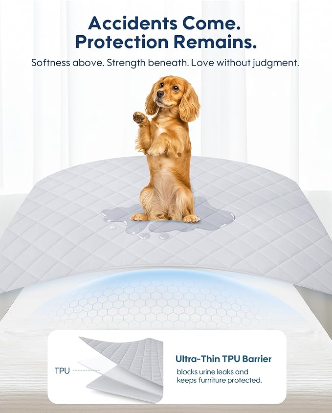 KASBAH Dog Cooling Blanket & Mat, Waterproof Pet Blankets for Couch, Bed and Car Seat, Washable Reversible Dog Blanket Throw (Cool & Warm), Q-MAX >0.5, 40 x 56 Inch