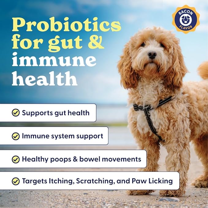 Origin Labs Belly Buddies - Probiotics for Dogs - Prebiotics & Probiotics - Supports Gut, Skin, and Immune Health - 5 Billion CFUs 7 Strain Probiotic Blend - Natural Bacon Flavor, 90 Soft Chews