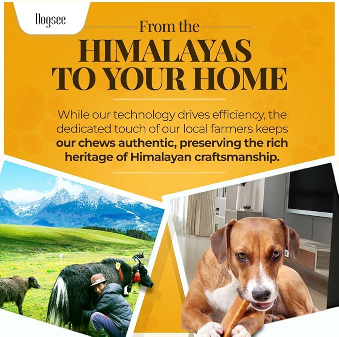 Dogsee Yak Cheese Himalayan Dog Chews with Turmeric 1lb (Large - 4 Bars) | 100% All Natural | Treats for Large Breed | Dog Chews Long Lasting for Joint Inflammation | High Protein | Dental Sticks