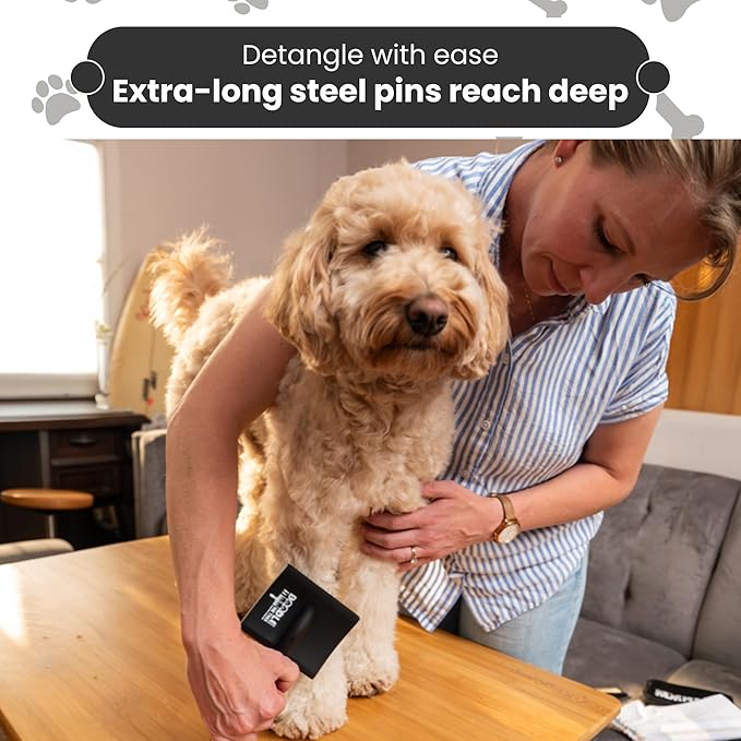 Slicker Brush for Dogs Kit Includes Comb Treat Pouch Bag and Guide Turns Stressful Grooming into bonding While Gently detangles matted Curly Wavy Coats.