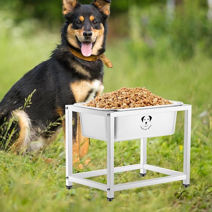 0.85 Gallon Elevated Large Dog Water Bowl, 10.23" Raised Stainless Steel Bowl for Medium Large Breed, Elevated Dog Water Bowl with Full Metal Stand, Easy to Clean and Assemble for Indoor Outdoor