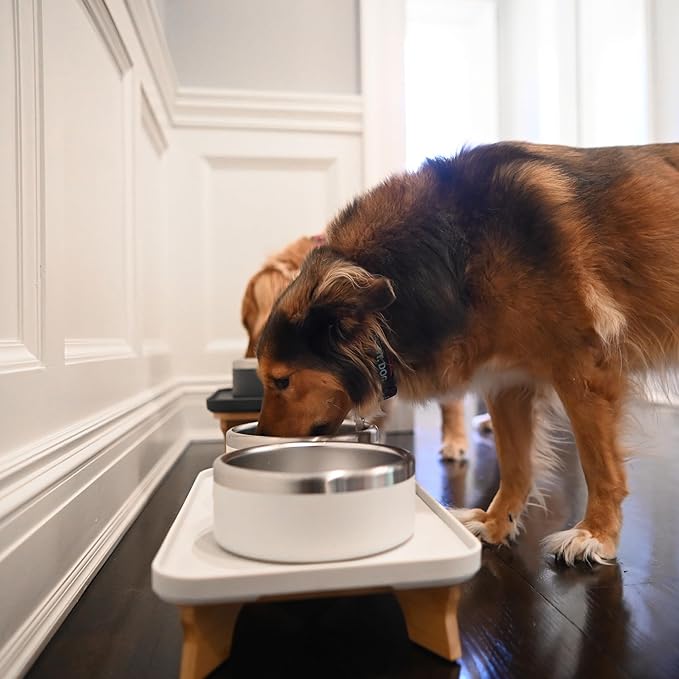 Trot Pets Elevated Dog Bowls | Stainless Steel Raised Bowl Set for Small, Medium, or Large Dogs | Non-Slip Food and Water Slow Feeder | Durable, BPA-Free, Anti-Skid, Dishwasher Safe (Charcoal, Small)