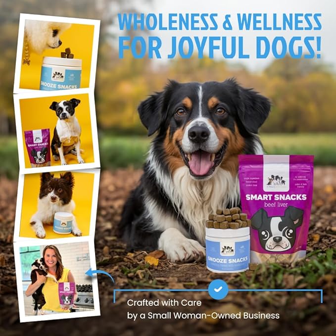 3 Paws Kitchen Snooze Snacks - Calming Chews for Dogs with Melatonin, Chamomile, and Valerian Root - Dog Anxiety Relief Supplement - 120 Soft Chews - Natural, Vet-Approved - Made in USA