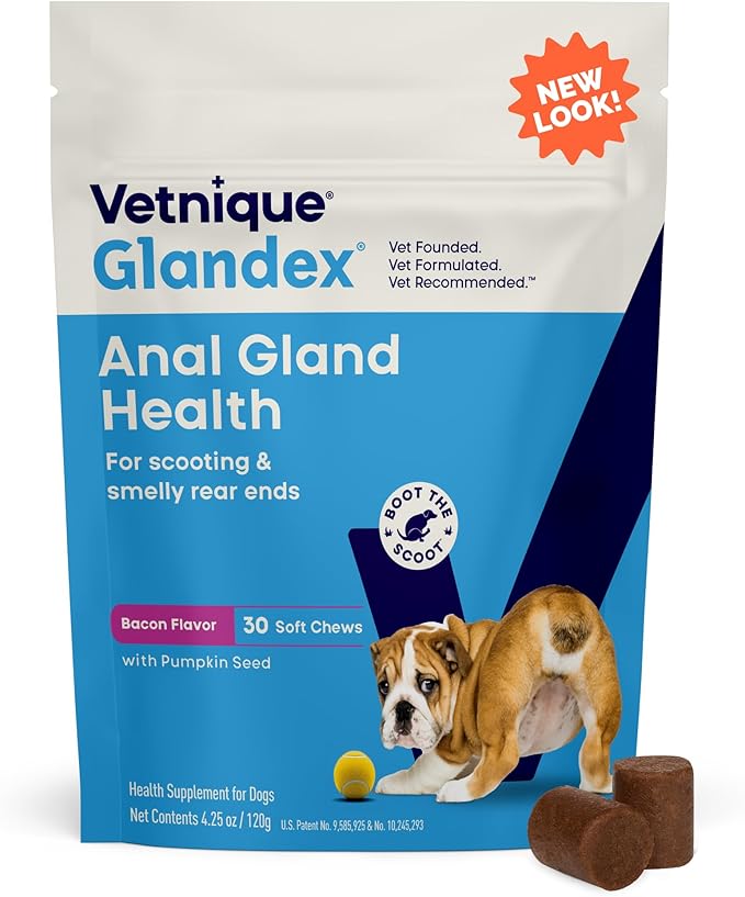 Vetnique Glandex Anal Gland Soft Chew Treats with Pumpkin for Dogs Digestive Enzymes, Probiotics Fiber Supplement for Dogs Boot The Scoot (Bacon Flavor Chews, 30 Count)