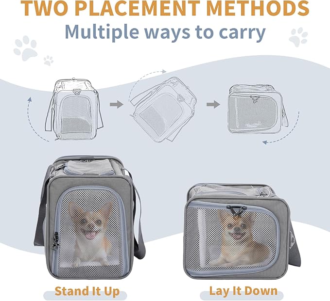 ‌Petsfit Airline Approved Pet Carrier for Small Dogs & Cats, 19x9x12 TSA Approved Carrier, with Removable Dual-Sided Padding (2-Way Placement) - Fits Under Most Airplane Seats, Escape Proof (Grey)