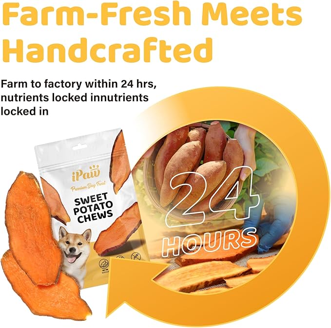 iPaw Sweet Potato Chews, Single Ingredient Dog Treats for Vegetarian, All Natural Human Grade Puppy Chew, Rawhide Alternative, Hypoallergenic, Easy to Digest, 2 Packs