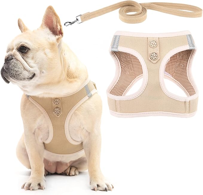 PUPTECK Dog Harness and Leash Set for Small Medium Dogs No Pull Step-in Soft Mesh Puppy Cat Vest Harnesses Reflective at Night, Denim Beige XS