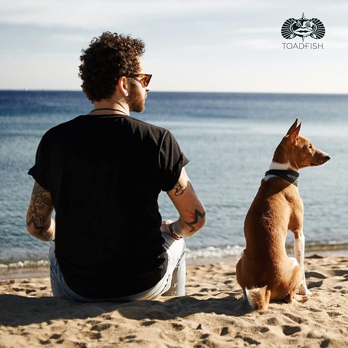 Toadfish Non-Tipping Dog Bowl - Double-Walled Stainless Steel Insulated - Smart-Grip Technology - Includes Cover - Pet Food & Water Dish - White