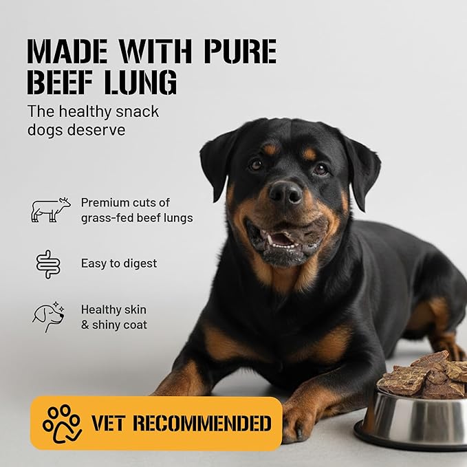 Dog Chits Beef Lung Fillets Dog and Puppy Treats – All Natural Chews for Dogs – Grain-Free, High-Protein, Low Fat Single Ingredient Dog Treat – Ideal for All Dogs – Large, 10 oz – Made in USA