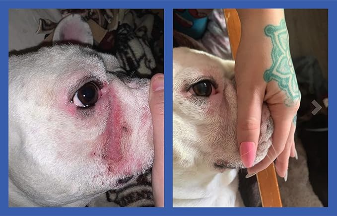 Squishface Wrinkle Wipes – 5”x7” Large Dog Wipes - Deodorizing, Tear Stain Remover – Great for English Bulldog, Pugs, Frenchie, Bulldogs, French Bulldogs & Any Breed! (80 Count) (Pack of 2)