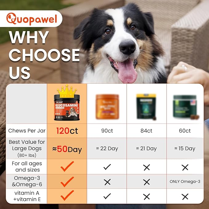 Hip and Joint Supplement for Dogs with Glucosamine, Chondroitin, MSM & Yucca - Glucosamine for Dogs，Joint Pain Relief Chews for Mobility & Discomfort-Chicken Flavor, 120 Count