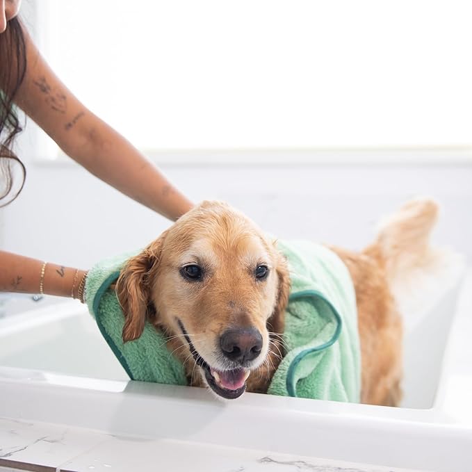 Two Tails Pet Company Pet N’ Dry Microfiber Bath Towel, Absorbent Dog Towels for Drying or Washing Paws, Faces, or Small Dogs, Soft and Lightweight, Fast Drying, Grooming Dog Supplies, Size Small