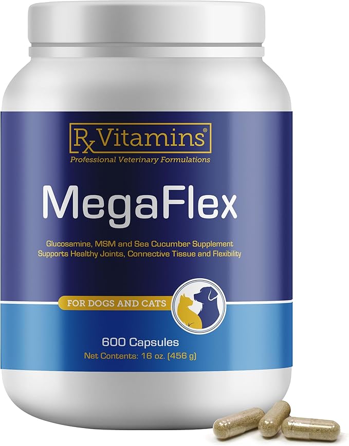 Rx Vitamins MegaFlex Cat and Dog Joint Supplement - Glucosamine Sulfate with MSM, Vitamin C, & Sea Cucumber - Supports Joint Flexibility and Mobility - for All Breeds and Sizes - 600 Capsules