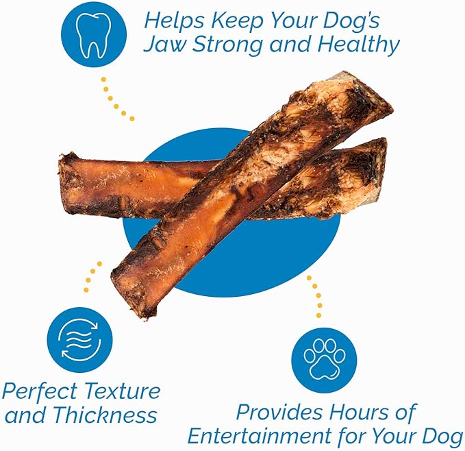 123 Treats Dog Bones for Dogs, 100% Natural Rib Bone Beef Chews from Grass Fed Cattle 7-9" (8 Count) Dog Treats and Breeds, Tasty Long Lasting Chews