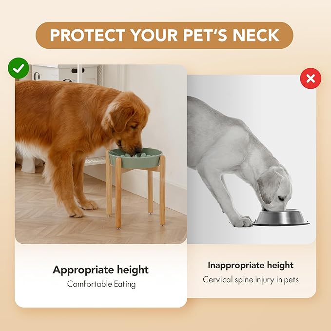 Ceramic 3.2 Cup Dog Raised Slow Feeder Set, Elevated Bowl with Wooden Stand for Large Dog, 9.5inch Slow Feeder Dish for Fast Easters, Anti-Gulping(Light Green, Single Bowl+ Stand)