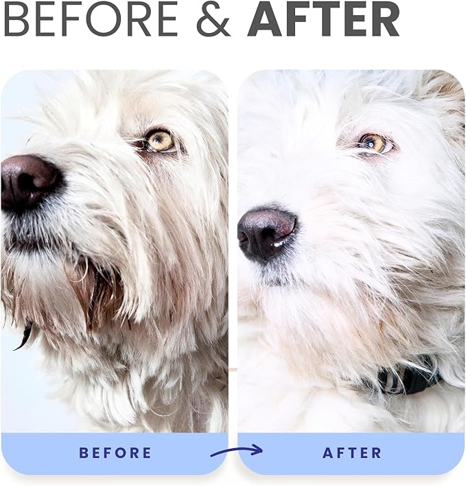 Lillian Ruff PRO Formula Berry Blue Brightening Dog Shampoo + Blueberry Waterless Dog Shampoo - Professional Whitening, Tear Stain Remover & No-Rinse Hydrating Odor Control, Aloe+Coconut Oil, USA Made