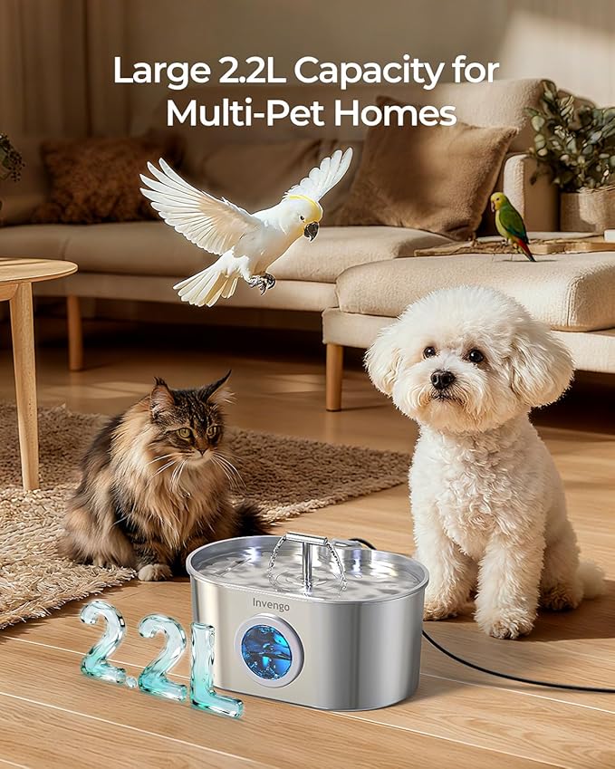 Cat Water Fountain Stainless Steel: 2.2L/74oz Automatic Pet Water Fountain for Cats & Dogs, Quiet Cat Fountain with 5-Layer Filter, Easy to Clean & Durable Dog Water Fountain