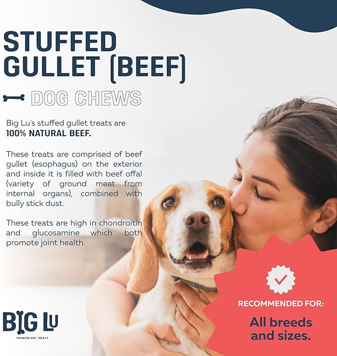 Big Lu - 6-Inch Stuffed Beef Jerky Sticks for Dogs, 20 Count, Premium All-Natural Gullet Chews, High-Protein, Easily Digestible, Supports Dental Health and Joint Mobility