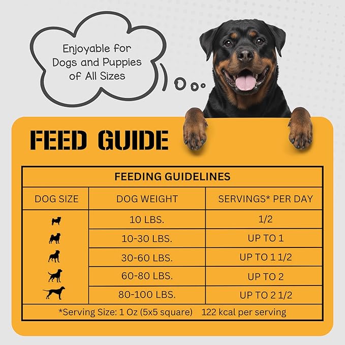 Dog Chits Beef Lung Fillets Dog and Puppy Treats – All Natural Chews for Dogs – Grain-Free, High-Protein, Low Fat Single Ingredient Dog Treat – Ideal for All Dogs – Large, 10 oz – Made in USA