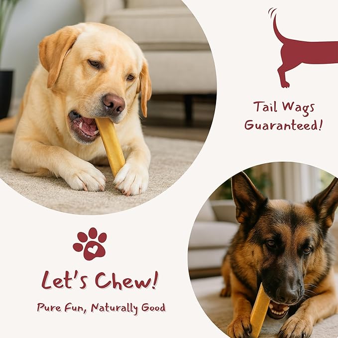 Majestic Pet Himalayan All-Natural Yak Style Cheese Dog Chews Made with 100% Cows Milk- Long Lasting Dental Chew for Dogs - Healthy Pet Treats (Dental & Bone Support, XL, 1 Pack)