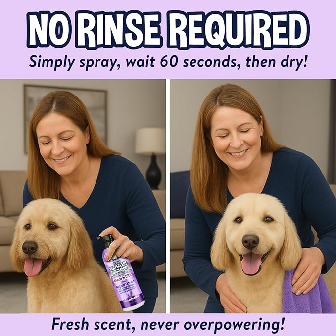 Bodhi Dog Waterless Shampoo - Natural Dry Shampoo for Dogs & Cats - Neutralizes Pet Odor - No Rinse Required - Made of Natural Extracts - Safe for Sensitive Skin - Made in USA - Lavender (17 Fl Oz)