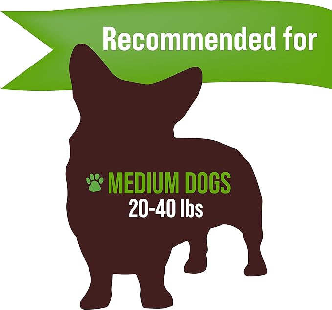 Buck Bone Organics Dog Chews, Elk Antlers for Dogs, Long Lasting Dog Bones for Aggressive Chewers, All Natural, No Preservatives, Wild Shed in The USA (Medium 2 Pack)