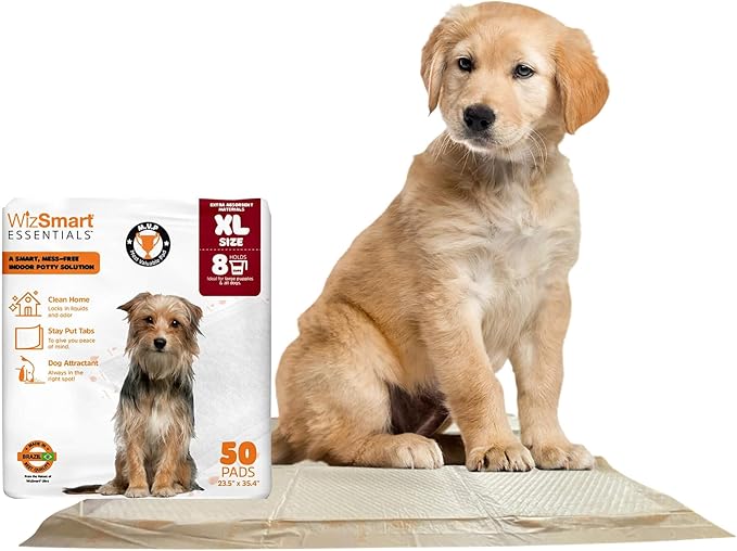 WizSmart Essentials Large Dog Pads, 23.5" x 22", Extra Absorbent Puppy Training Pads, Indoor Potty Pads, Leakproof Gel Pads for Small Dogs, Crate, House, Travel, Eco-Friendly, Non-Slip - 50 Count
