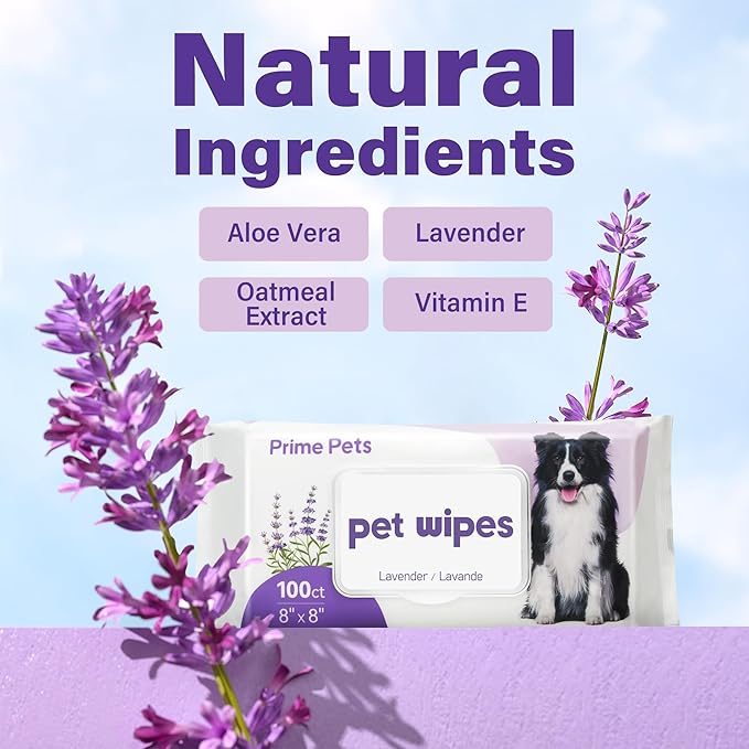 Prime Pets Dog Wipes for Paws and Butt, 100 Count, 8" x 8" Hypoallergenic Pet Wipes for Dogs Cats Cleaning Deodorizing, Lavender Scented, Thick Puppy Wipes for Ears, Eyes, Body and Teeth