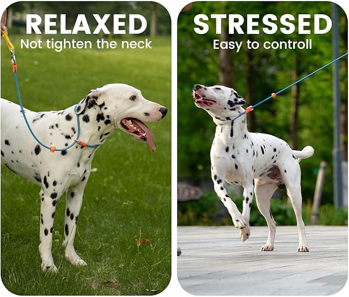 HowGo Slip Lead Dog Leash with Double Handles | Reflective Dog Training Leash with 360° Swivel Anti-Tangle | Heavy-Duty Lead and Collar for Large Medium and Small, No-Pull Walking (Red, 5.5FT)