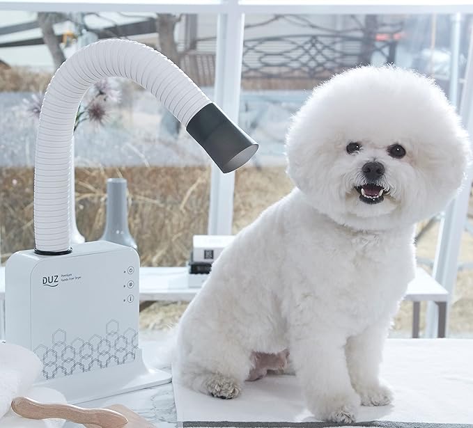 DUZ V2 Super Quiet Hands-Free Pet Dryer: Low-Noise Dog Dryer for Grooming, Reduces Labor & Stress, Ideal for Small Dogs and Cats, 1-Year Warranty