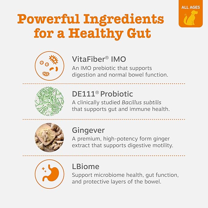 Zesty Paws Vet Strength Probiotics for Dogs, Digestive Health & Gut Flora Support, Dog Supplements, 90 Count (Pack of 2)