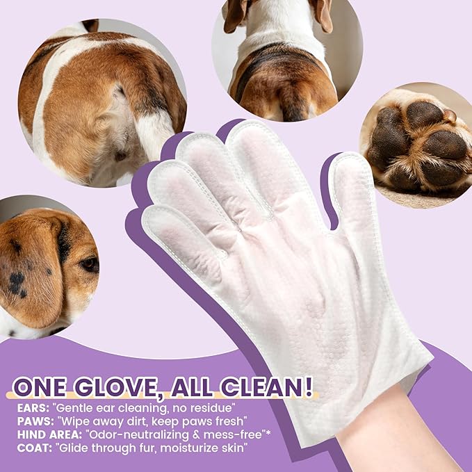 100 Dog Wipes for Paws and Butt Plant Based Hypoallergenic Pets Cleansing & Deodorizing Anal Gland Hygienic Puppy Wipes for Dogs Face and Body (Lavender, 100 Glove Wipes)