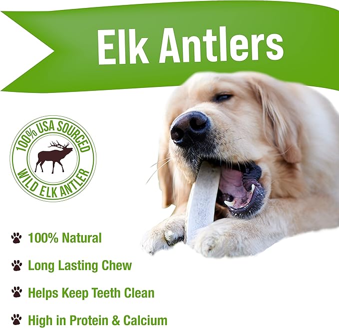 Buck Bone Organics Dog Chews, Elk Antlers for Dogs, Long Lasting Dog Bones for Aggressive Chewers, All Natural, No Preservatives, Wild Shed in The USA (1 Pound Bag)