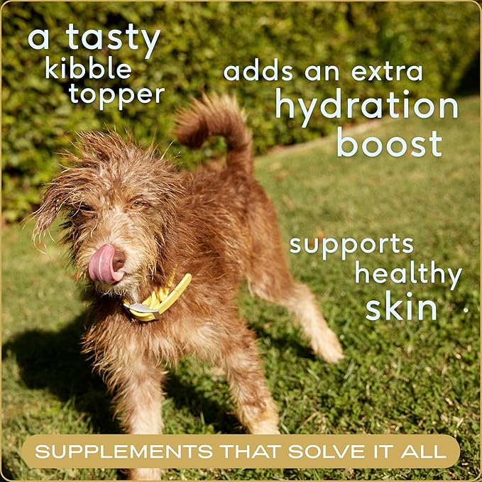 Native Pet Bone Broth for Dogs and Cats - Turkey Bone Broth Powder Dog Food Toppers for Picky Eaters - Provides Extra Nutrition for Joint Strength, Immune Support & Heart Health - 192 Scoops