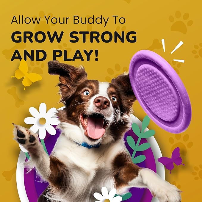 Hip and Joint Supplement for Dogs - Vet Approved Glucosamine Chondroitin for Dogs - Flexibility Support & Bone Strength - with MSM, Hyaluronic Acid, Vitamin B12, B6, B1 & More - 16 Fl Oz