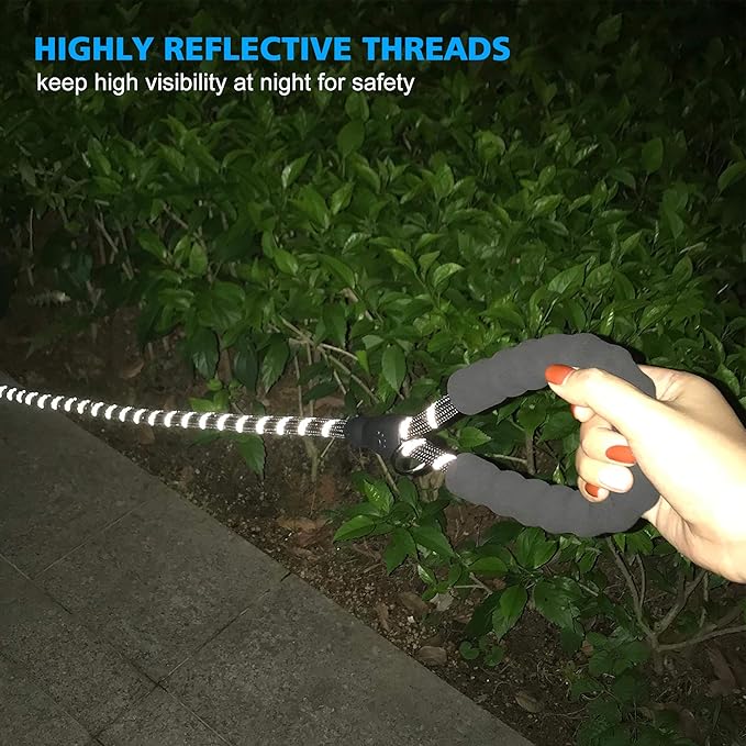 Heavy Duty Dog Leash - Comfortable Padded Handle, 5 ft Long - Dog Leashes for Small Medium Large Dogs (Leash+Collar L Neck 20"-25", Black)